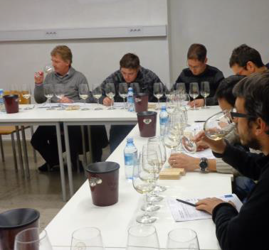 Meeting and presentation of sensorial analysis of the wines micro-vinified in the year 2013.